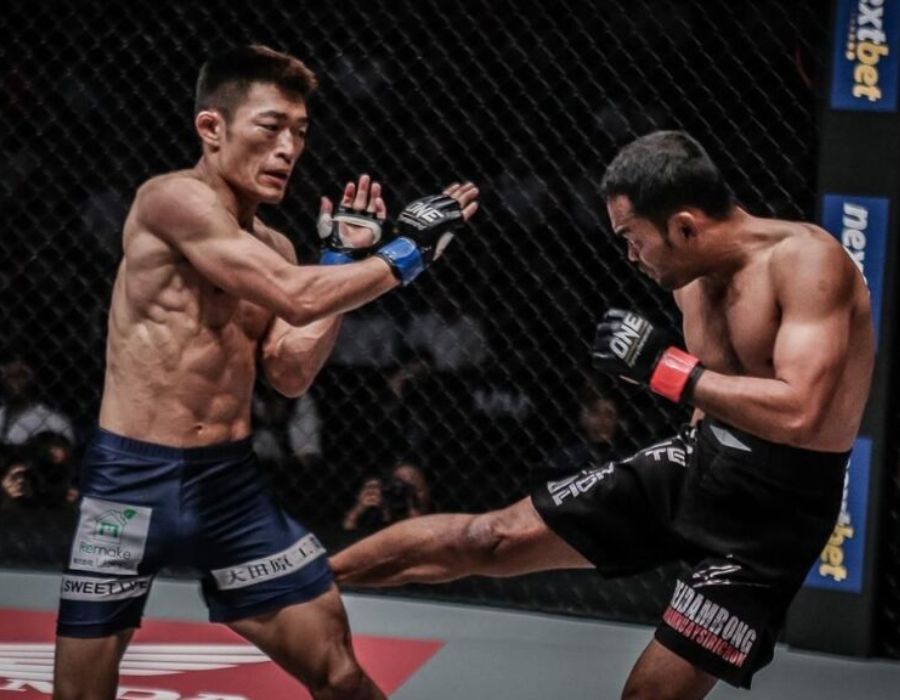 Low-Kick (Leg Kick)
